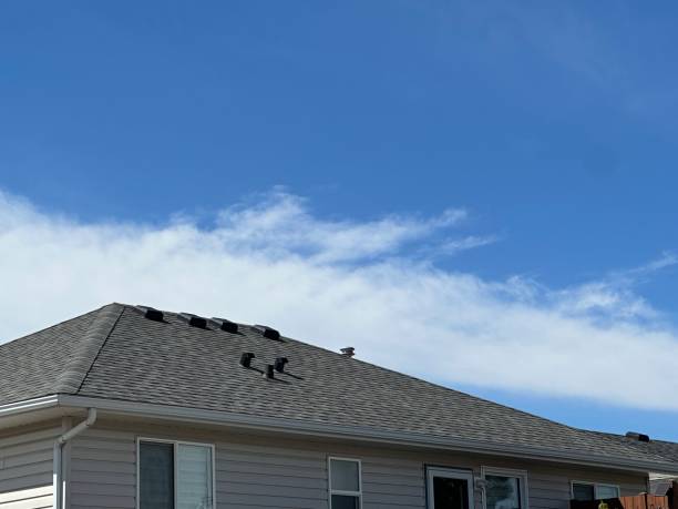 Professional Roofing Services in Citrus City, TX